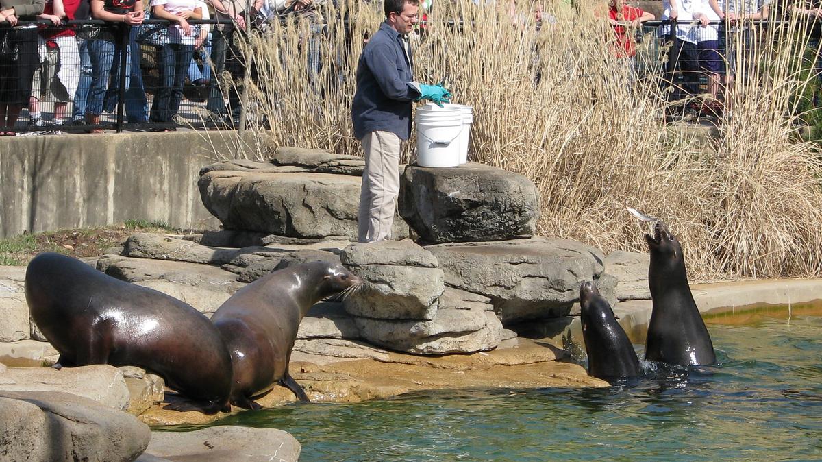 Saint Louis Zoo named best zoo in the country - St. Louis Business Journal