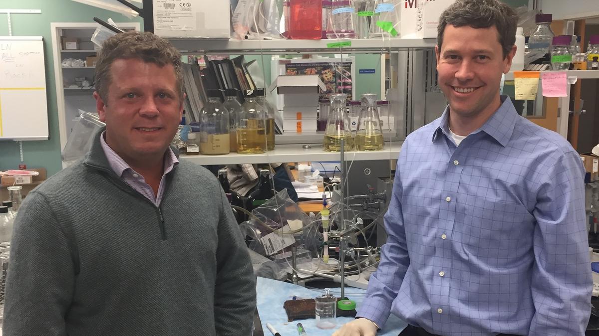 New cancer treatments Shattuck Labs chairman outlines postIPO plans