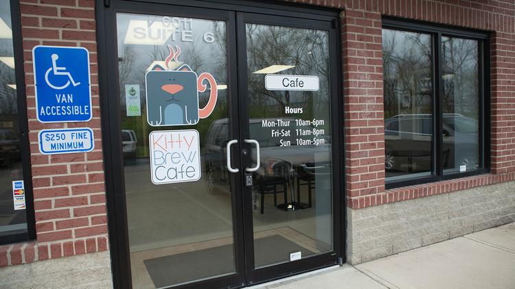  Minnesota  s first cat  caf  signs lease in Minneapolis  