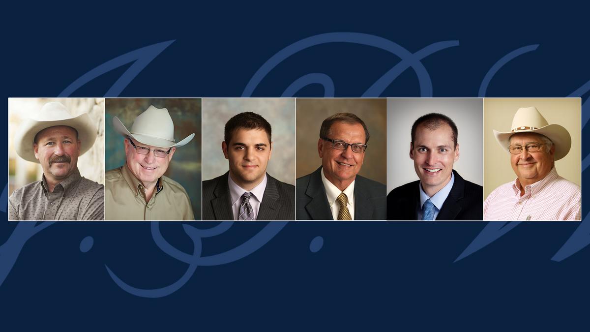 Top Auction Firms J.P. Weigand & Sons Wichita Business Journal