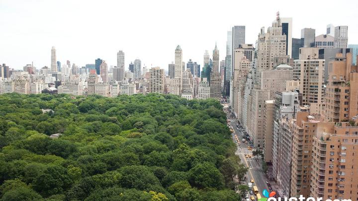 These 8 N.Y.C. hotels offer views of Central Park (PHOTOS) - New York