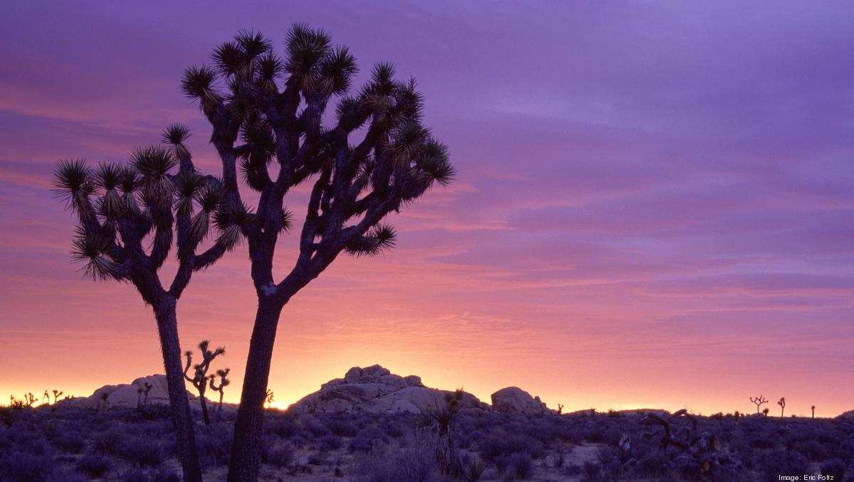 10 best U.S. desert getaways New York Business Journal