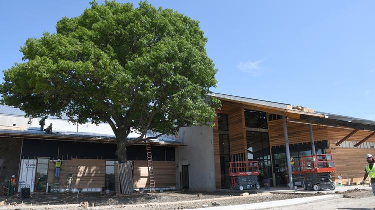 Treehouse To Close Austin Store Shift Home Office To Dallas