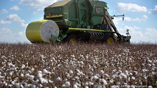 Tractor harvesting Indigo Cotton