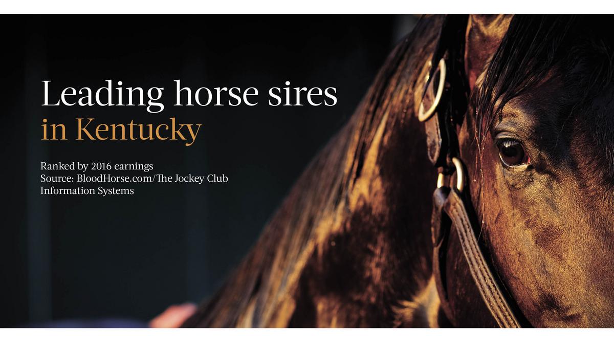 These are the top Thoroughbred sire earners in Kentucky Louisville