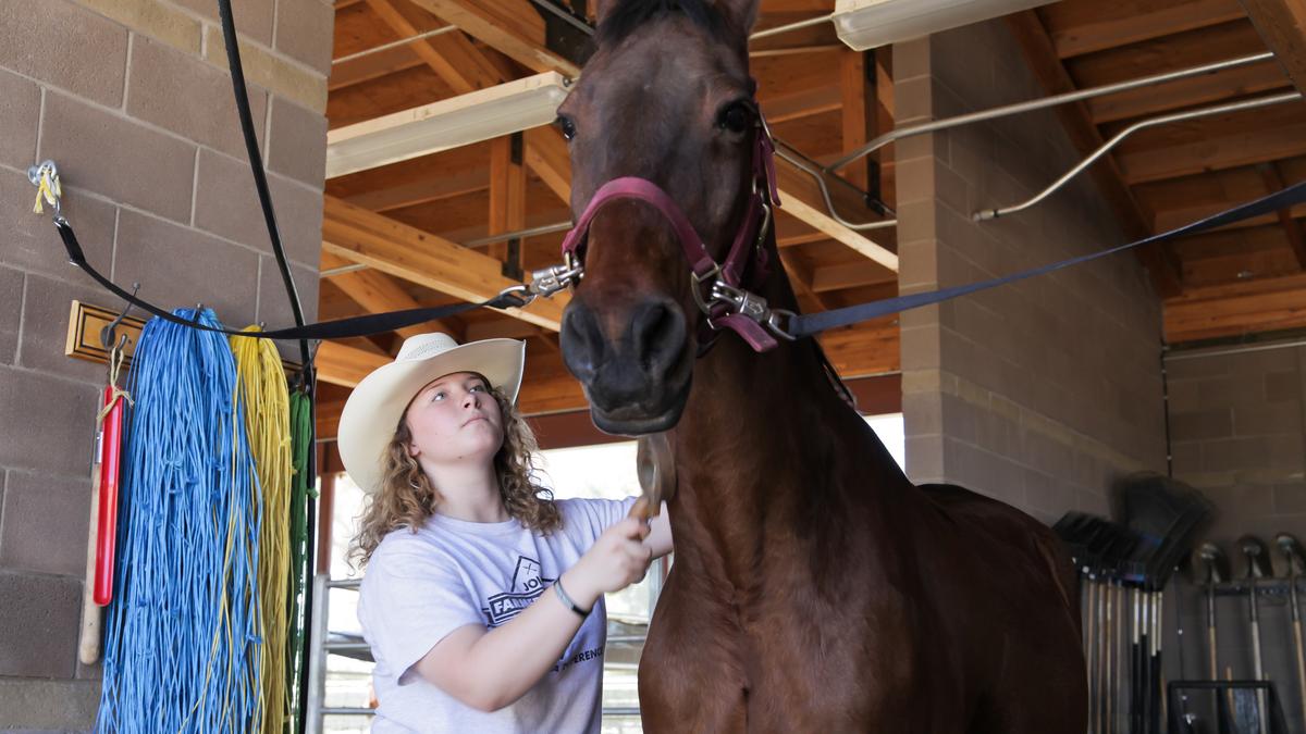 AAEC Early College High School to open Mesa campus - Phoenix Business ...