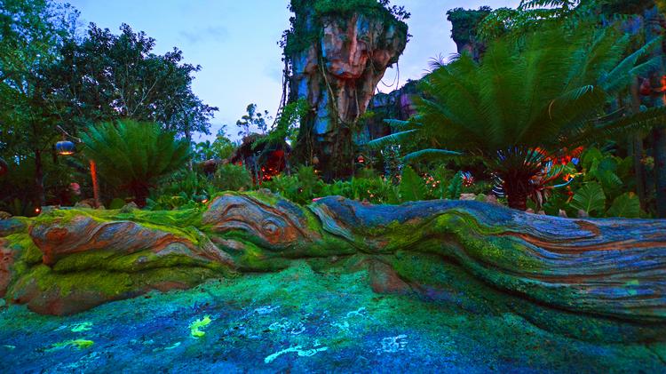 Disney's (NYSE: DIS) Pandora: The World of Avatar land at Animal Kingdom  theme park in Orlando recognized among world's best destinations - Orlando  Business Journal