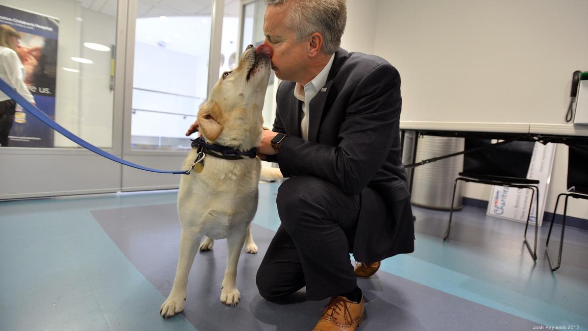 Boston Children's Hospital gets an assist to bring more therapy dogs ...