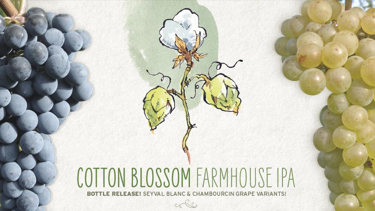 Saxapahaw brewery Haw River Farmhouse Ales to debut new patio and beers