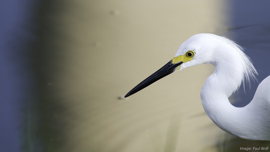 Seabrook sees new highway leading to new development Houston Business