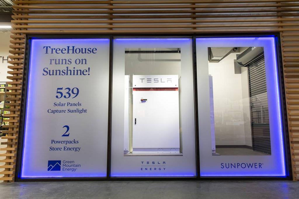 TreeHouse, an ecofriendly competitor to Home Depot and Lowe's, to