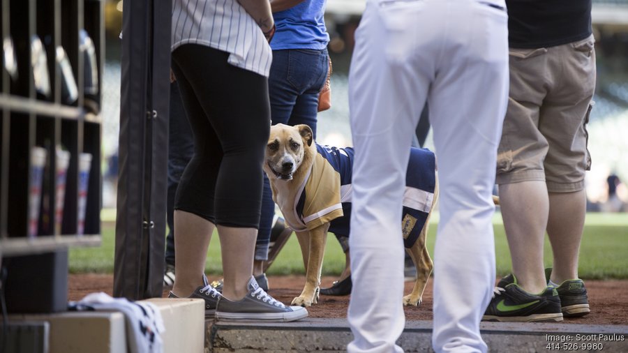 Scenes from Miller Park as dogs join the crowd: Slideshow