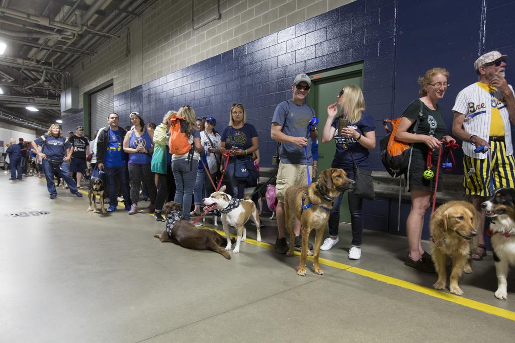 Scenes from Miller Park as dogs join the crowd: Slideshow