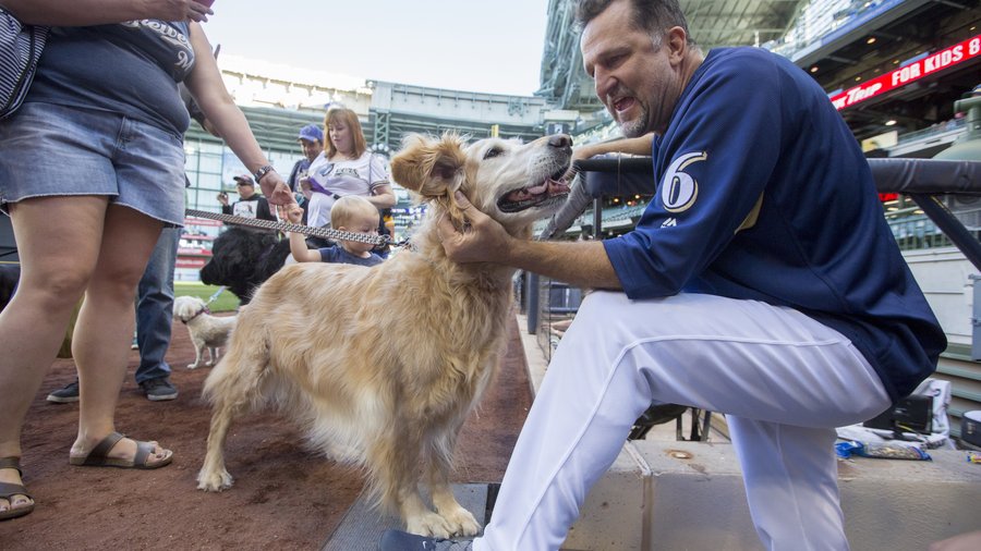 Scenes from Miller Park as dogs join the crowd: Slideshow