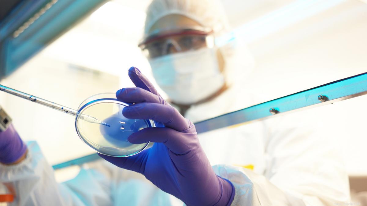 How North Carolina’s industries impact the economy Charlotte Business