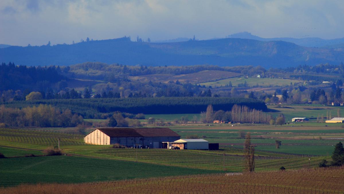 Big California wine bankruptcy touches familiar Oregon brands