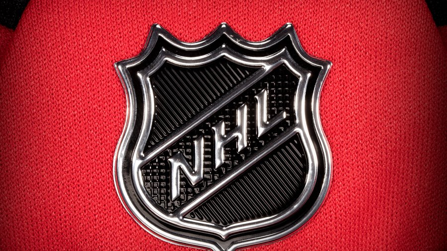 NHL Official National Hockey League Shield Logo Large Patch Emblem