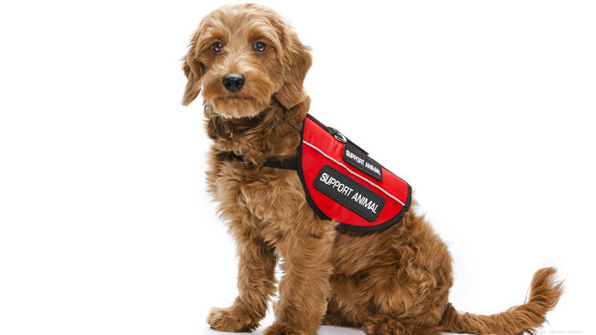 alaska airlines emotional support dog