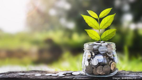 concept money growing and small tree in jar