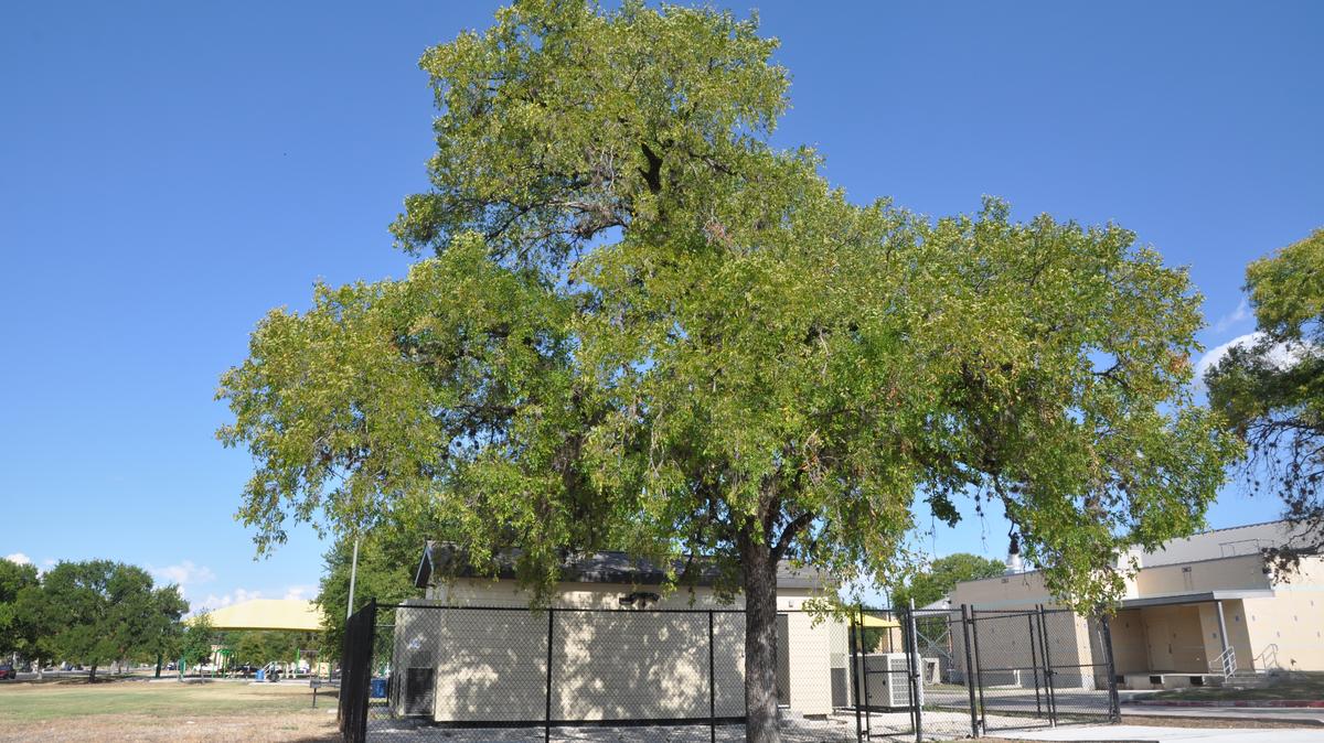 Google Fiber Texas LLC still building - Googlehutwestendpark*1200xx4288 2412 0 218 