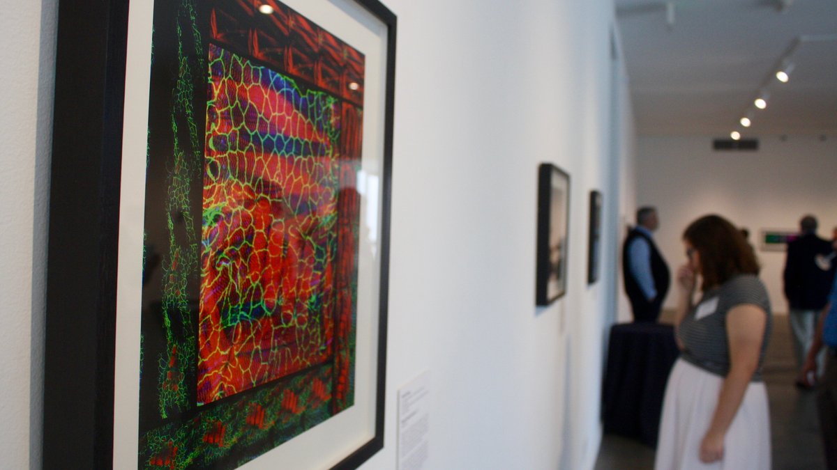 KC scientists turn their research into art at new exhibit [PHOTOS