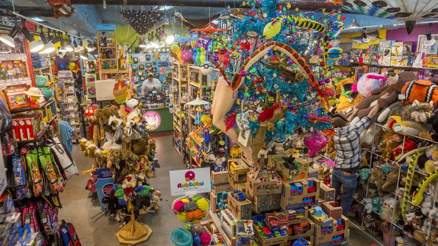 Austin's Toy Joy expands with second store catering to families outside ...