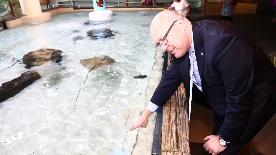 Ray Touch Tank - Zoo Exhibit in Saint Petersburg