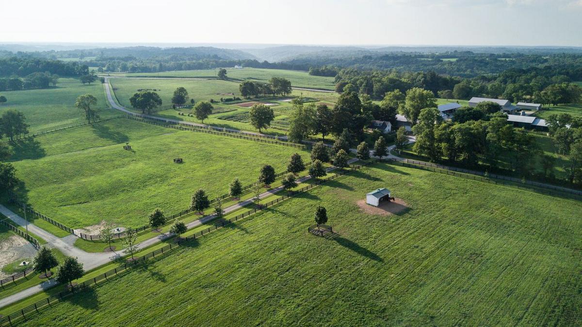 Fund for the Arts launches Culinary Arts Strategic Relief Fund with