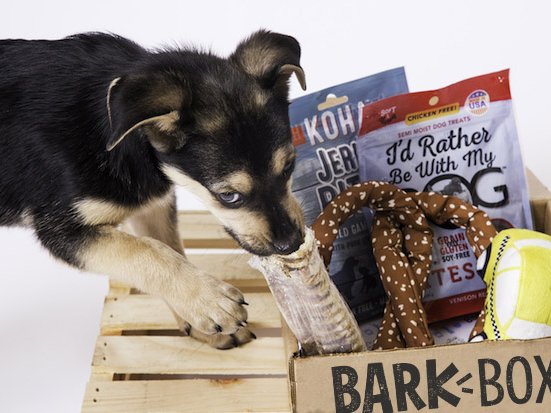 Target dog shop toys barkbox