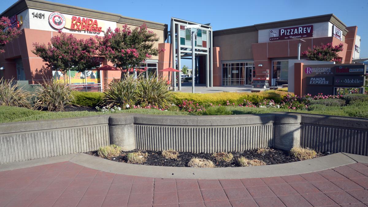 Icicles, rolled ice cream shop from San Jose, is coming to Howe Avenue