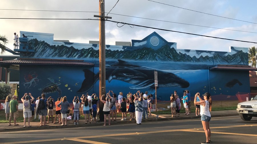 Epic Real Estate Partners entering Hawaii market with purchase of Kauai