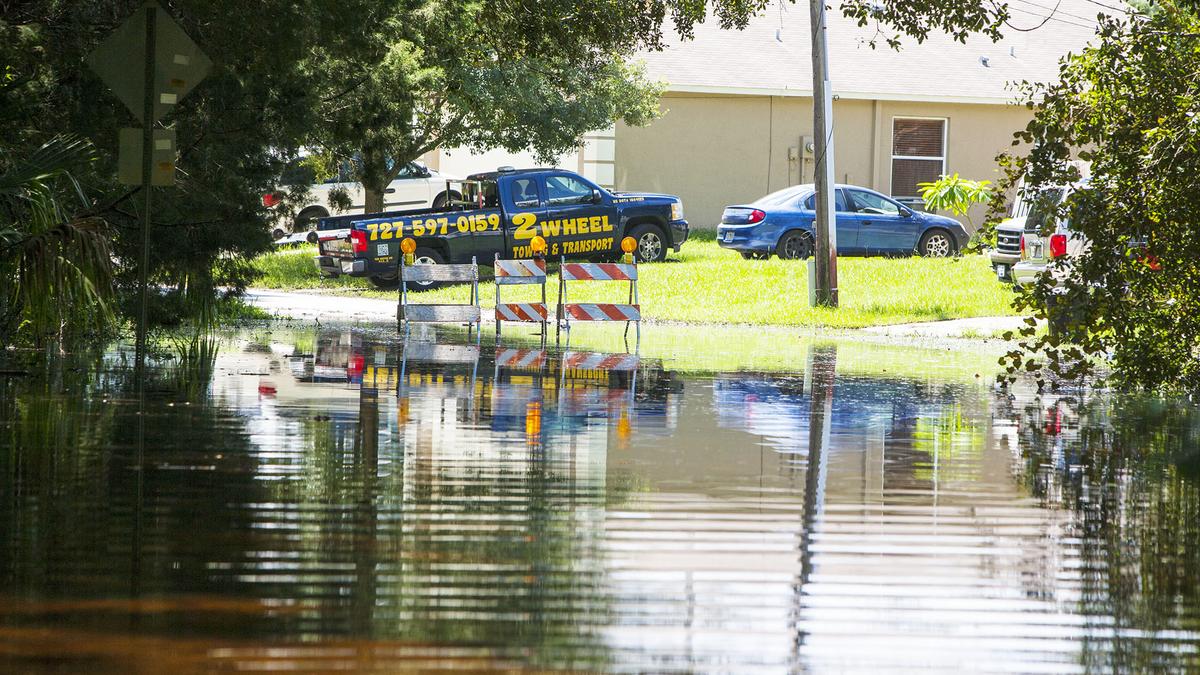 Tallying the cost of hurricanes in Tampa Bay - Tampa Bay Business Journal