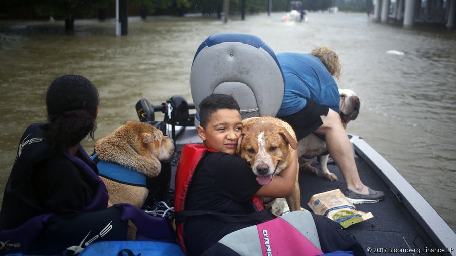 Cowboys vs. Texans proceeds will go to Harvey relief fund