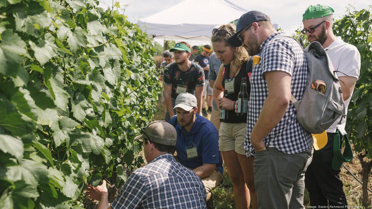 Willamette Valley Wineries Association, Oregon Pinot Camp merge