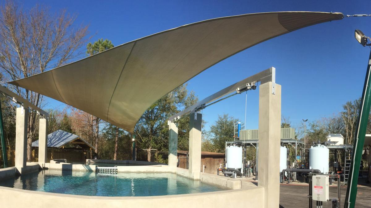 Jax Zoo welcomes first manatees to critical care center - Jacksonville