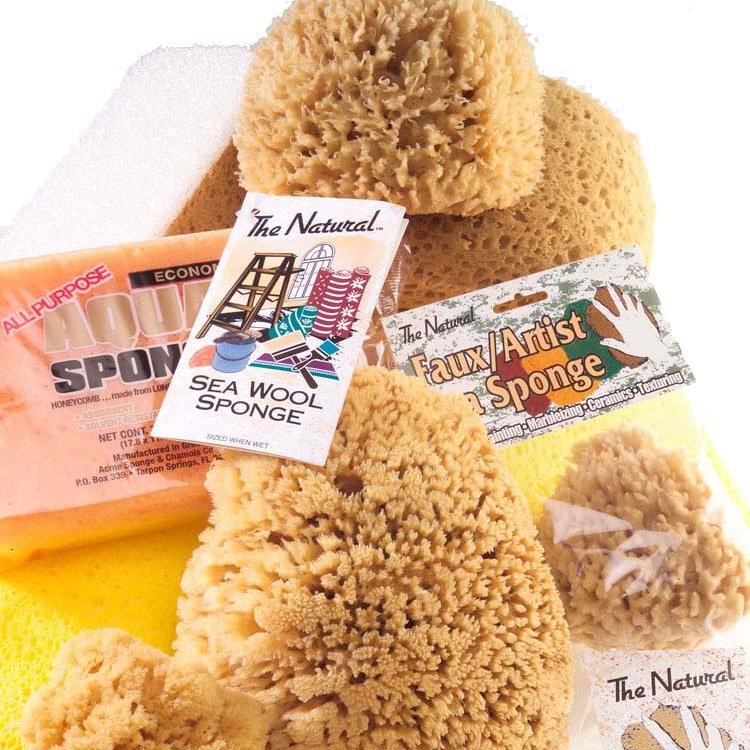 Sea Sponges for Bath and Body - Acme Sponge Company