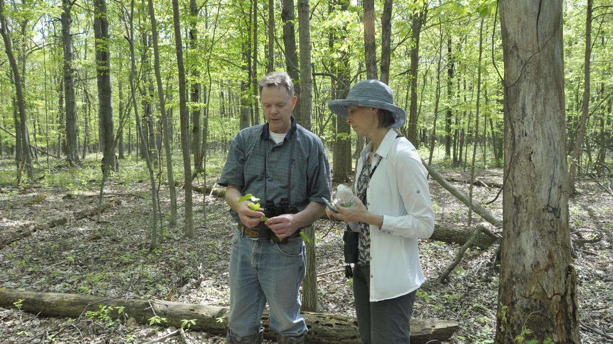 Western New York Land Conservancy creates 140acre preserve on Grand