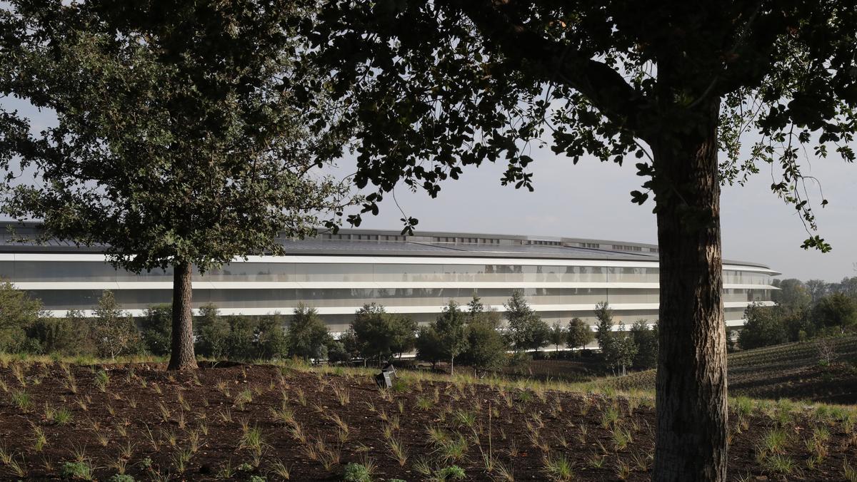 Apple aims for earlier return to offices than Facebook, Google and