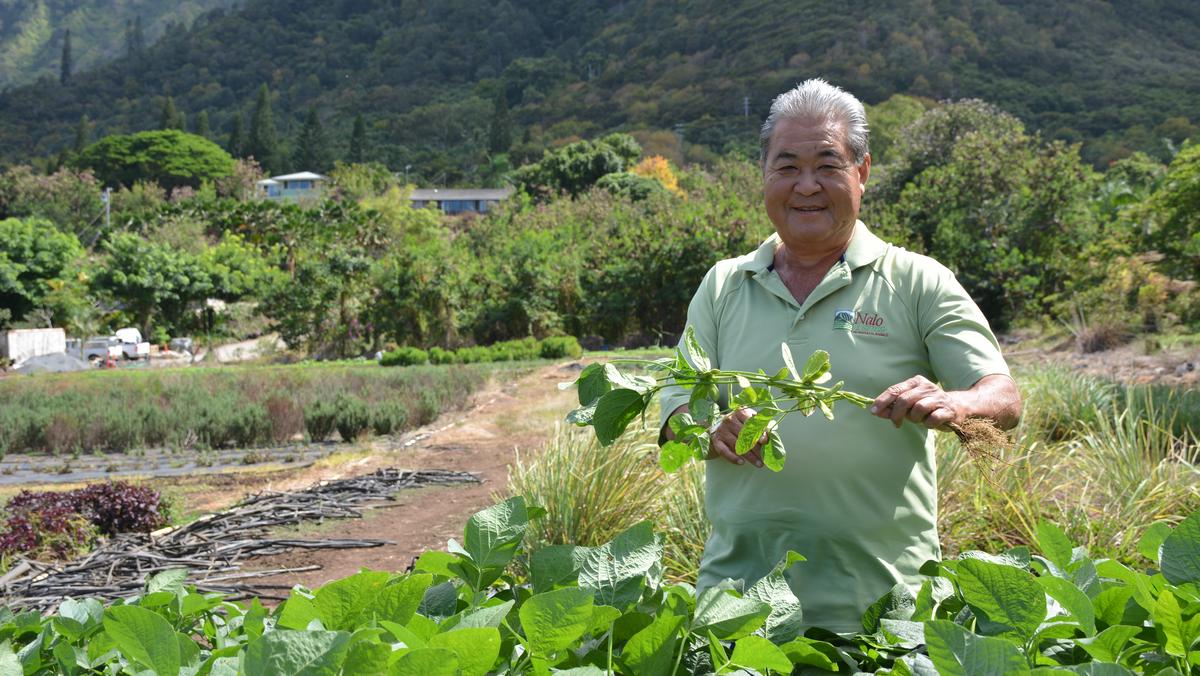 Dean Okimoto hopes to sell majority of Nalo Farms to employee after