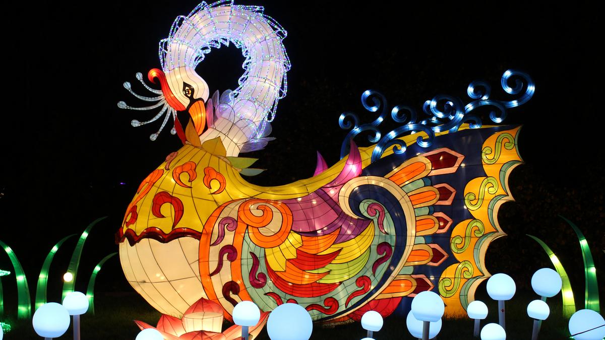 China Lights festival officially returning to Hales Corners Milwaukee