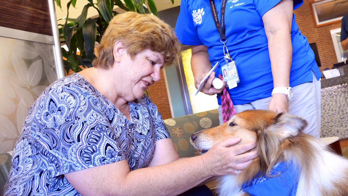 Patients find comfort with canine companions at Orlando Health Orlando Business Journal
