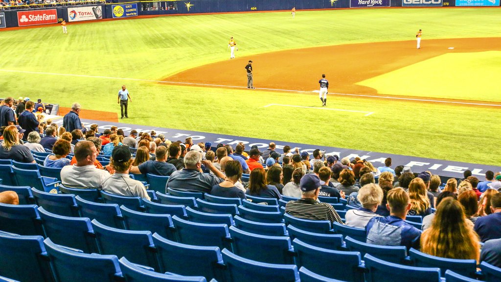 Rays announce fan cutouts for 2020 season at Tropicana Field