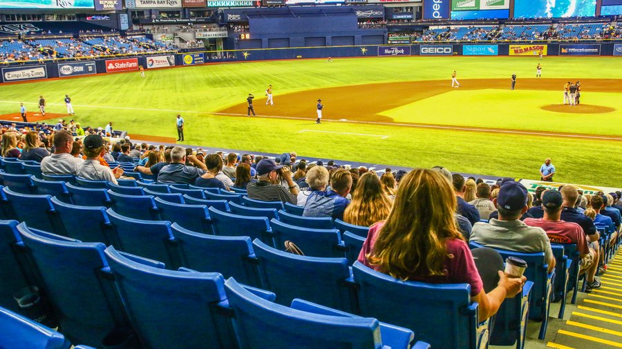 Tampa Bay Rays - Stadium Dude