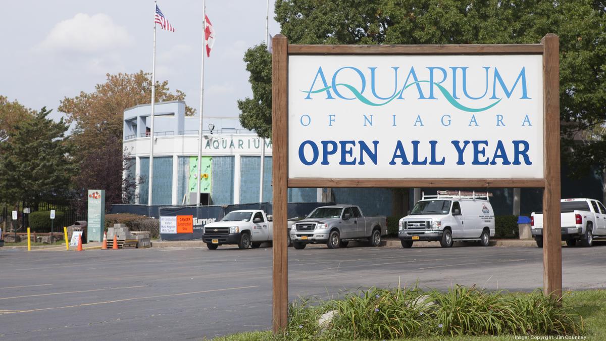 New Aquarium of Niagara exhibit should be a handson experience