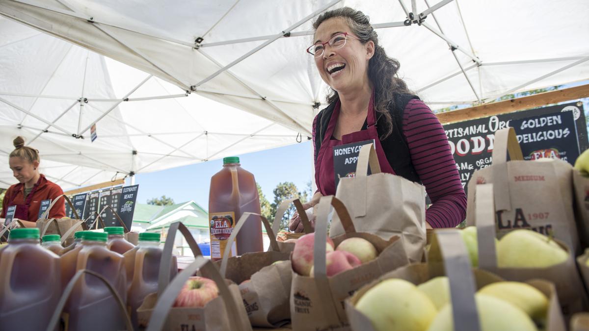 Picture This Lakewood Cider Days was a step back in time Denver