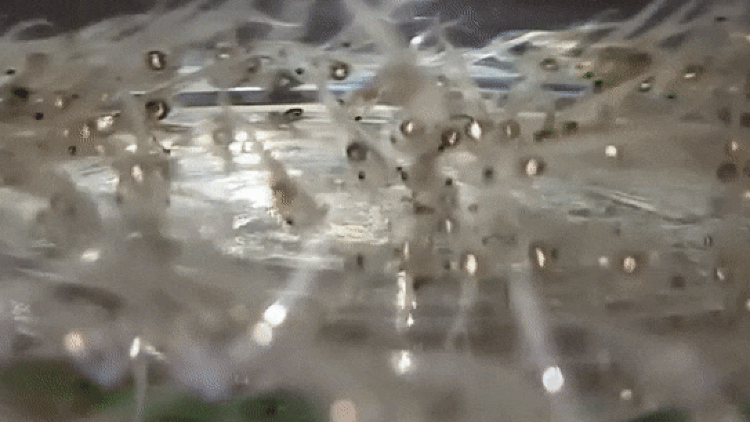 University of Pittsburgh receives bioengineering grant from National ...
