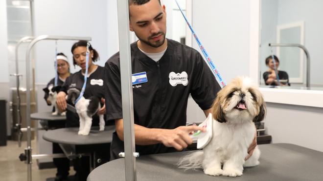 Petsmart 2024 dog grooming