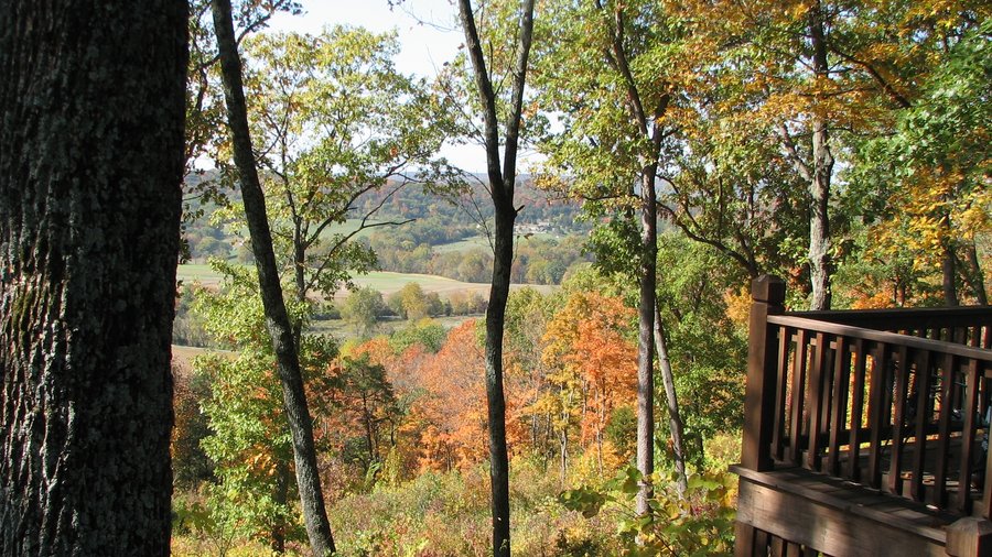 The best wineries near St. Louis, according to Yelp, include local