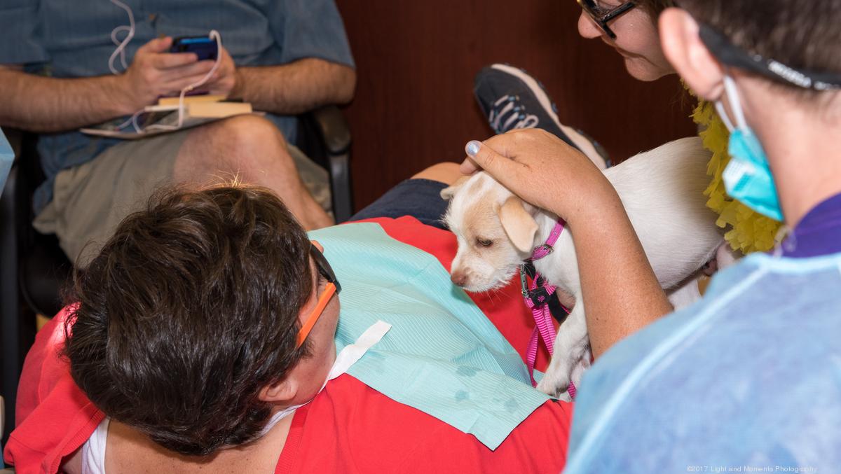 A.T. Still University dental school provides free dental care for