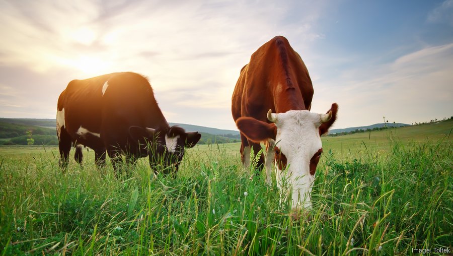 Duke Energy partners with Charlotte startup to produce renewable ...